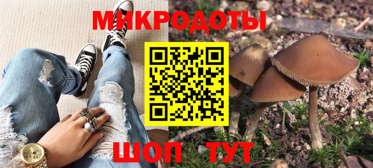 Псилоцибиновые грибы Cubensis  Вход с VPN  Новокуйбышевск 